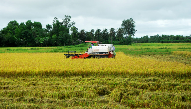 Cà Mau khẩn trương hoàn thành đề án tổng thể tái cơ cấu kinh tế ảnh 1
