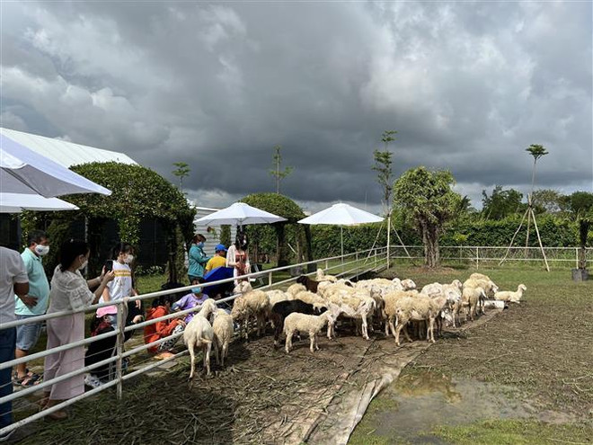 Tín hiệu vui về du lịch tại các địa phương trong dịp Tết Dương lịch ảnh 3