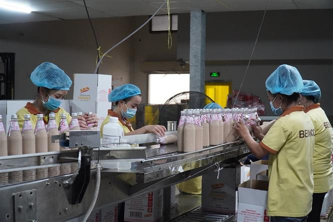 Sản xuất sữa dừa xuất khẩu ở Công ty Đầu tư dừa Bến Tre (Bienco). Ảnh: Công Trí-TTXVN Cần có trợ lực về tài chính để doanh nghiệp duy trì và phục hồi ảnh 2