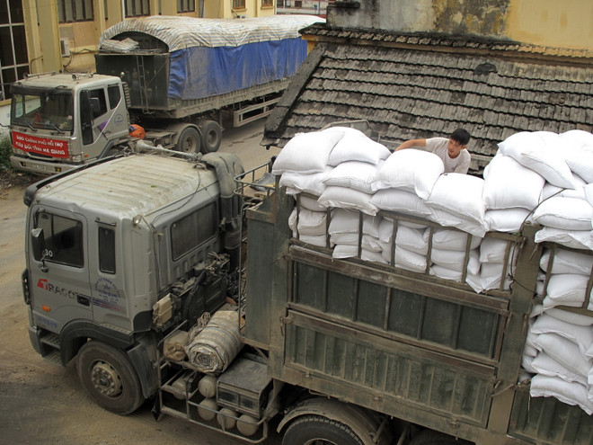 Hỗ trợ gần 3.900 tấn gạo cho người dân Tuyên Quang và Nghệ An ảnh 1