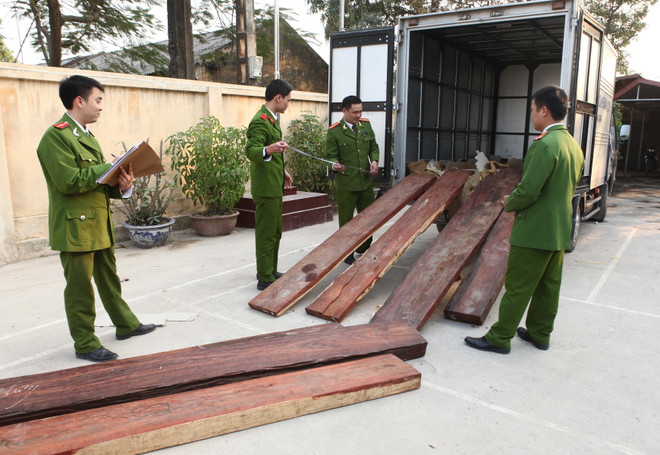 45 năm tù cho nhóm buôn lậu 3 container gỗ trắc giả hàng gốm sứ ảnh 1