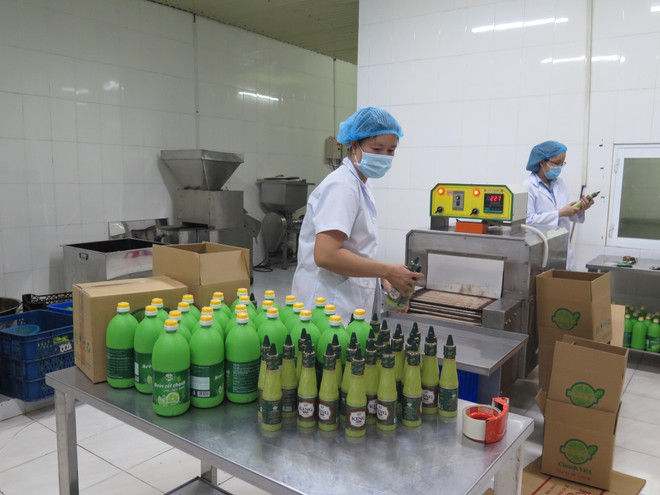 Bài toán cho hàng hóa Đồng bằng sông Cửu Long: Mở rộng cửa xuất khẩu ảnh 1