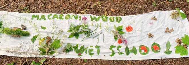 Trại hè tại Anh giúp thế hệ trẻ gắn kết và gìn giữ văn hóa Việt ảnh 4