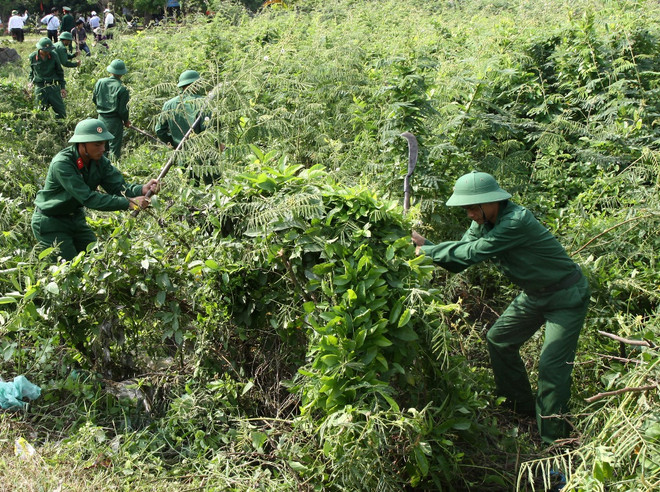 Hà Nội phát động diệt trừ các loài ngoại lai xâm hại môi trường ảnh 2