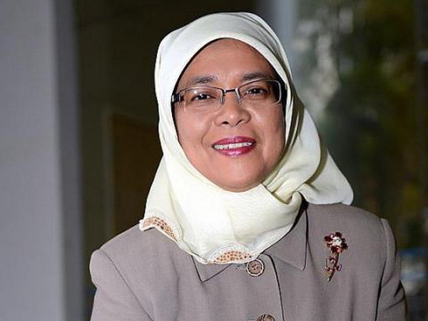 Quan hệ Singapore và Việt Nam phát triển trên nhiều phương diện ảnh 1