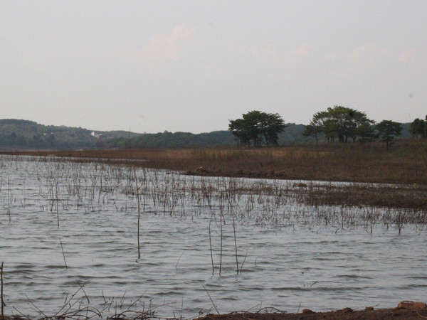 3 học sinh ở Đồng Nai tử vong thương tâm do đuối nước ảnh 1