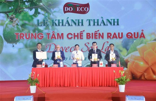 Khánh thành Trung tâm chế biến rau, quả hiện đại nhất vùng Tây Bắc ảnh 2