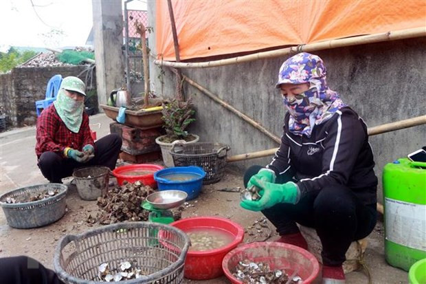 Quảng Ninh hỗ trợ giải quyết việc làm cho người dân bị ảnh hưởng dịch ảnh 1