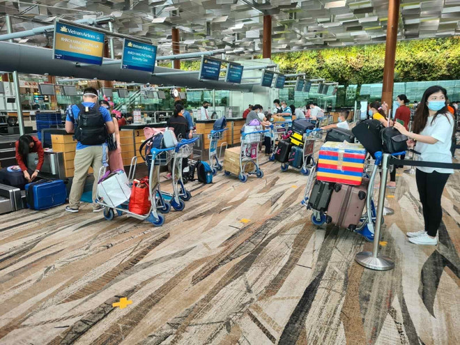 Đưa hơn 240 công dân Việt Nam từ Singapore về nước an toàn ảnh 1