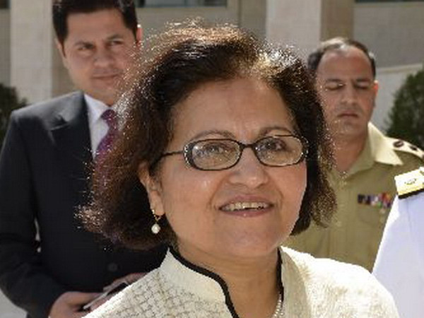 ASEAN và Pakistan tăng cường quan hệ đối thoại ngành ảnh 1