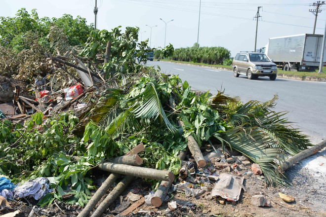 Rác thải tràn lan trên tuyến đường tránh thành phố Nam Định ảnh 1