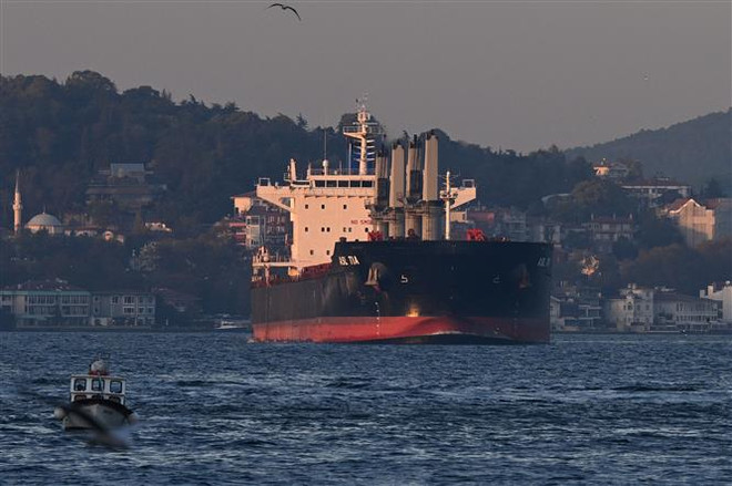 Tàu chở ngũ cốc của Ukraine di chuyển qua Eo biển Bosphorus ở Istanbul, Thổ Nhĩ Kỳ ngày 2/11/2022. (Ảnh: AFP/TTXVN) Ukraine và Ba Lan đàm phán về việc quá cảnh lương thực và ngũ cốc ảnh 1