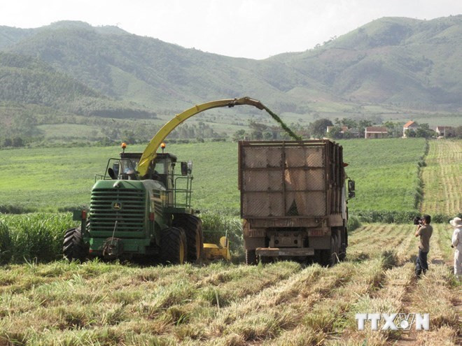 ADB giúp Phú Yên thực hiện dự án phát triển nông thôn tổng hợp ảnh 1