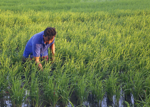 Việt Nam-Pakistan đề xuất nhiều giải pháp tăng hợp tác kinh tế ảnh 1