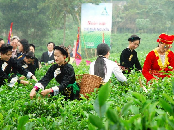 Đặc sắc Lễ hội "Võ Nhai nơi cội nguồn" ở Thái Nguyên ảnh 1