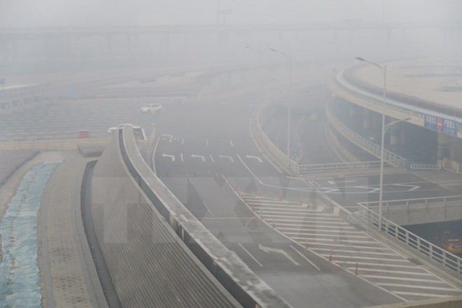 Sự kiện quốc tế 2-8/1: Nga can thiệp vào bầu cử Tổng thống Mỹ? ảnh 10