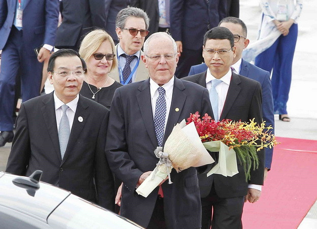 APEC 2017: Nhật Bản và Peru nhất trí thúc đẩy TPP sớm có hiệu lực ảnh 1