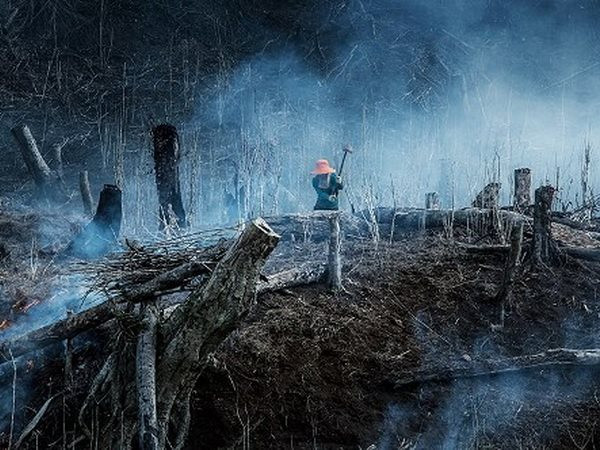 ''Sự tàn phá của con người'' đoạt Giải thưởng tài năng 2014 ảnh 1