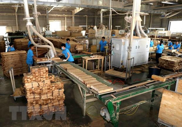 Sản xuất, chế biến gỗ tại Công ty trách nhiệm hữu hạn khai thác, chế biến lâm sản Đà Lạt (Lâm Đồng). (Ảnh: Vũ Sinh/T Thúc đẩy DN chế biến gỗ và thủy sản thực hành trách nhiệm xã hội ảnh 1