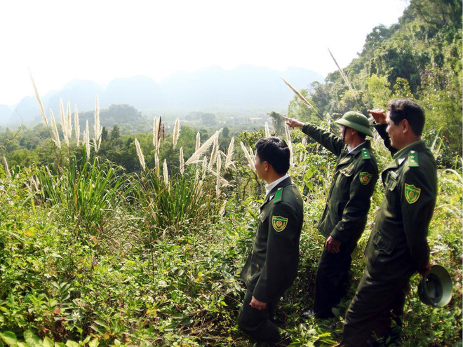 Chi trả dịch vụ môi trường rừng: Thiếu vắng một hệ thống giám sát ảnh 2