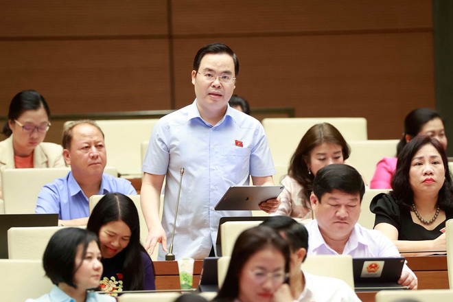 ĐBQH: Cơ sở xác định giá đất tiệm cận với thị trường vẫn còn mơ hồ ảnh 1