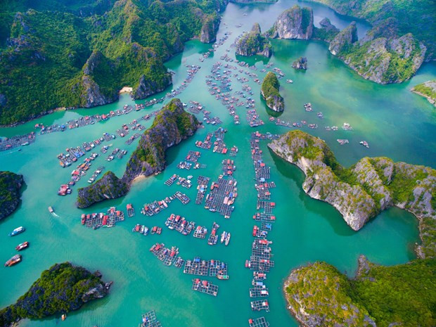 Làng chài trên vịnh Hạ Long. (Ảnh: Vietnam+) Tháng 3 ấn tượng: Việt Nam đang phục hồi mạnh mẽ sau đại dịch COVID-19 ảnh 1
