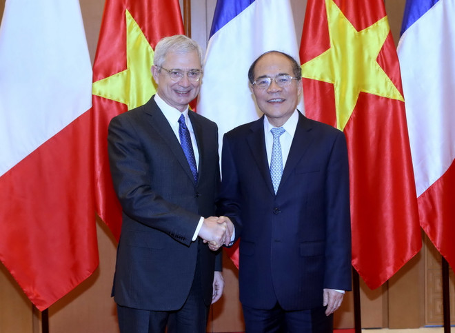 Quốc hội Pháp tích cực ủng hộ Việt Nam đảm bảo an ninh trên biển ảnh 2