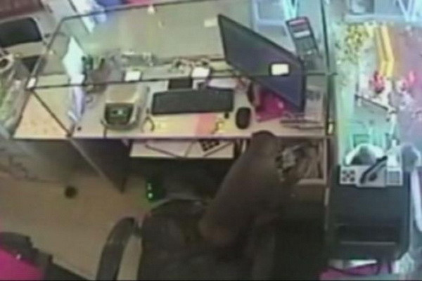 Con khỉ tinh ranh thực hiện vụ trộm táo tợn trong cửa hàng nữ trang ảnh 1