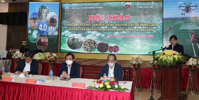 Tổ chức sản xuất vùng nguyên liệu phát triển bền vững ngành càphê ảnh 1