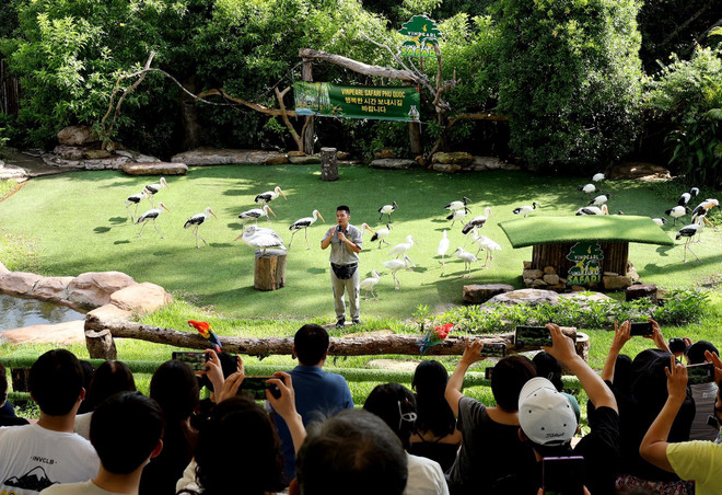 Du lịch Nam Bộ: Kỳ vọng đà phục hồi với những mô hình linh hoạt ảnh 2
