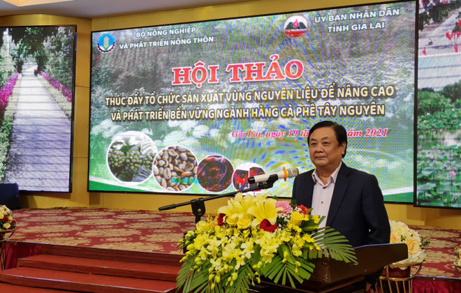 Tổ chức sản xuất vùng nguyên liệu phát triển bền vững ngành càphê ảnh 2