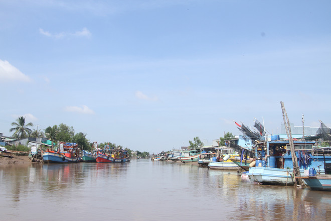 Bạc Liêu kêu gọi các tàu thuyền tìm nơi trú ẩn tránh bão số 9 ảnh 1