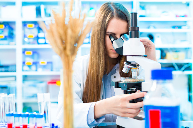 Làn sóng ồ ạt “chảy máu chất xám” ở Mỹ và Australia -Bài 2 ảnh 2