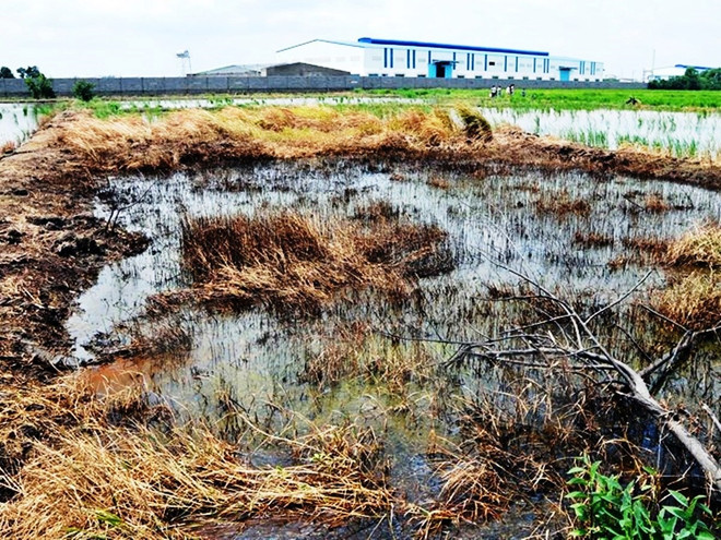 28 doanh nghiệp bị đưa vào diện kiểm soát môi trường đặc biệt ảnh 1