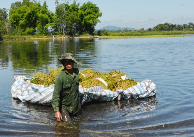 Đắk Lắk thiệt hại hơn 75 tỷ đồng do đợt mưa lũ bất thường ảnh 1