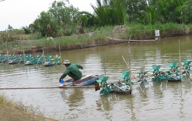 Bài 2: Ứng phó biến đổi khí hậu, ĐBS Cửu Long cần đổi hướng canh tác ảnh 1