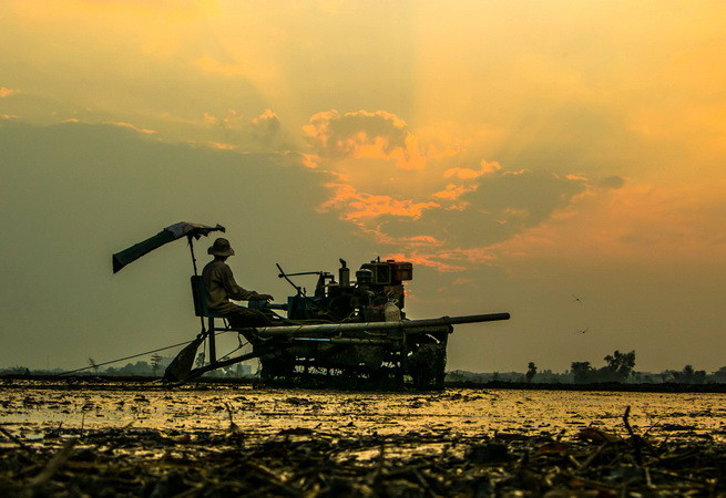 Bài 3: Các mô hình sản xuất nông nghiệp thích ứng với biến đổi khí hậu ảnh 1