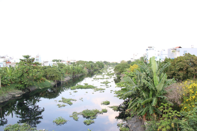 TP.HCM tạo "bộ mặt" tươi sáng cho tuyến kênh sau 20 năm chờ đợi ảnh 2