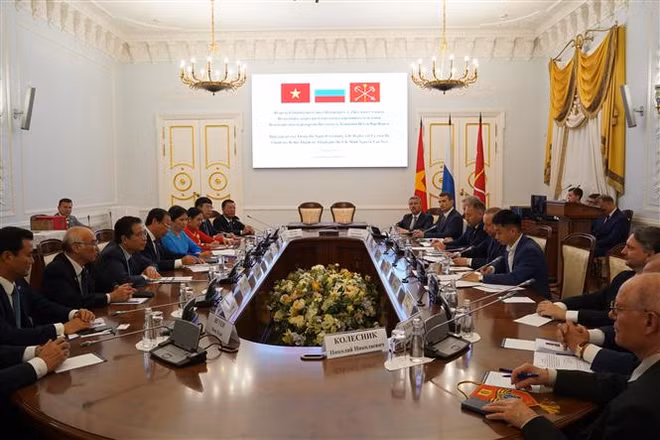 TP Hồ Chí Minh đẩy mạnh hợp tác với thành phố St.Petersburg của Nga ảnh 1