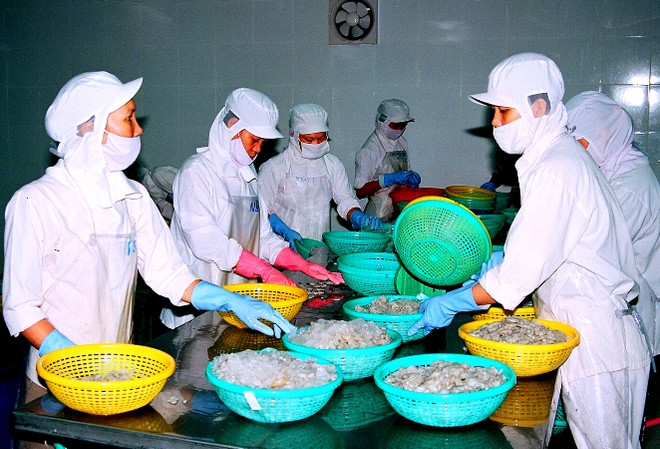 Đề nghị Australia sớm bãi bỏ lệnh tạm ngừng nhập khẩu tôm ảnh 1