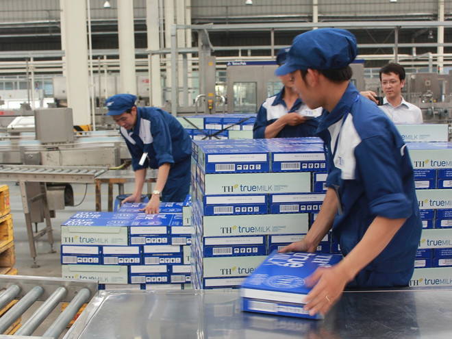 Tập đoàn TH đạt kỷ lục Cụm trang trại bò sữa tập trung lớn nhất châu Á ảnh 3