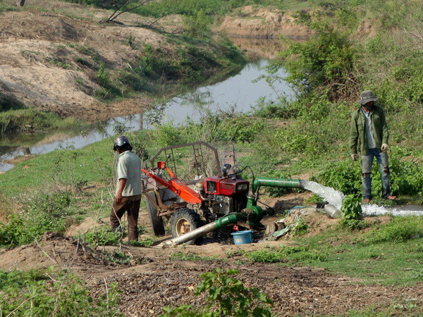 Tình trạng khô hạn sẽ không xảy ra gay gắt như năm 2013 ảnh 1