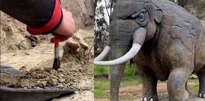 Loài voi cổ đại khổng lồ Gomphothere từng xuất hiện ở Chile? ảnh 1