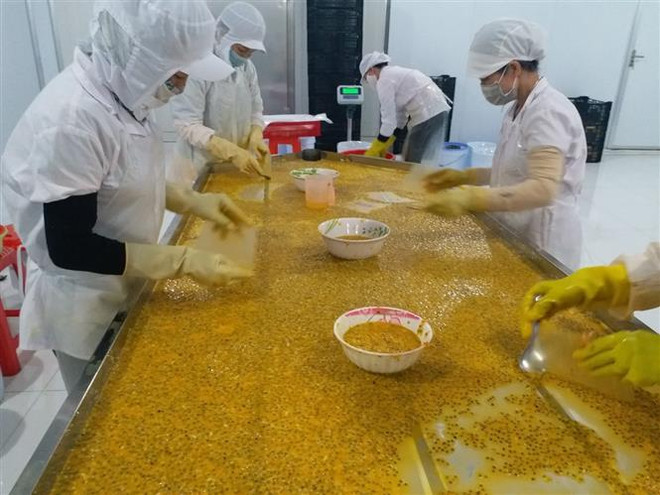 Việt Nam - điểm sáng hiếm hoi trong bức tranh ảm đạm kinh tế toàn cầu ảnh 3