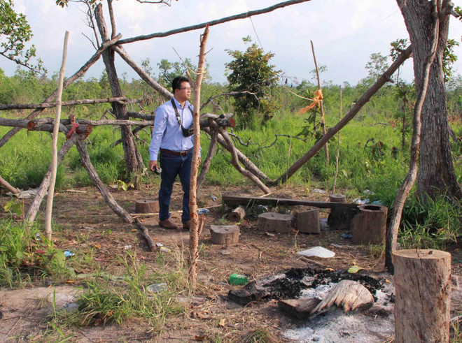 Cục Kiểm lâm chỉ đạo làm rõ vụ phá rừng chiếm đất dọc Quốc lộ 29 ảnh 1