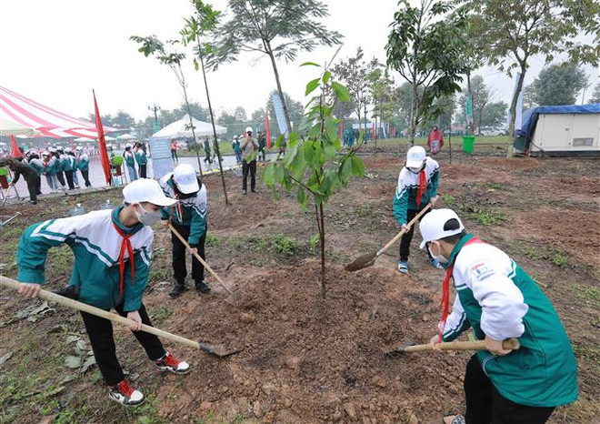Nhiều học sinh tham dự “Tết trồng cây đời đời nhớ ơn Bác Hồ”. (Ảnh: Vũ Sinh/TTXVN) "Hãy đóng góp thiết thực vào Chương trình trồng một tỷ cây xanh" ảnh 3