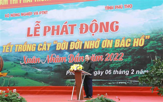Chủ tịch nước Nguyễn Xuân Phúc phát động “Tết trồng cây đời đời nhớ ơn Bác Hồ”. (Ảnh: Vũ Sinh/TTXVN) "Hãy đóng góp thiết thực vào Chương trình trồng một tỷ cây xanh" ảnh 1