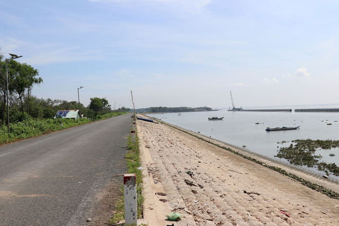 Tiền Giang: Nỗ lực khôi phục rừng phòng hộ, bảo vệ đê biển Gò Công ảnh 2