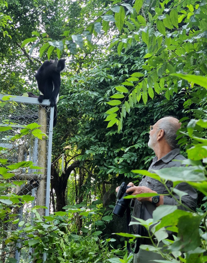 Ninh Bình: Cá thể voọc đặc hữu quý hiếm được sinh sản tại Tràng An ảnh 2
