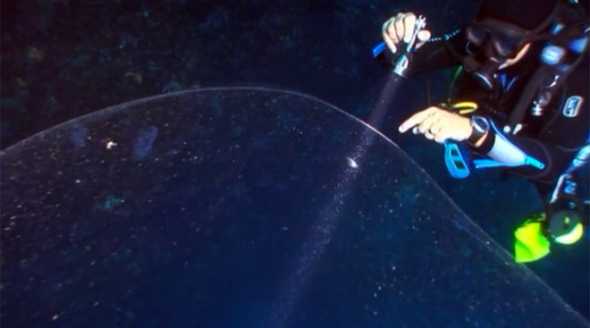 [Video] Phát hiện quả cầu trong suốt, khổng lồ dưới đáy biển ảnh 1